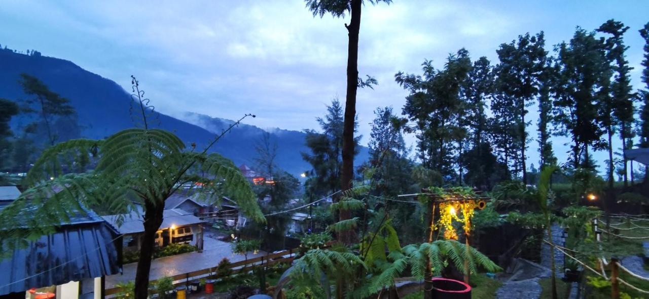 Tube Bromo Homestay Probolinggo Exterior photo